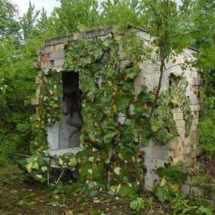 primaveraestateautunnoinvernoprimavera INTERA