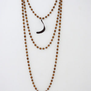 Mutato Corporis Mutato Corporis