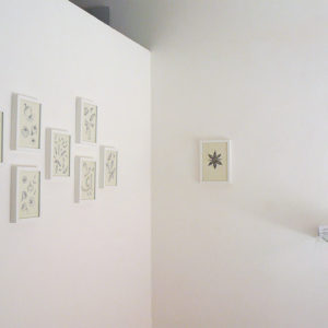 Mutato Corporis Mutato Corporis