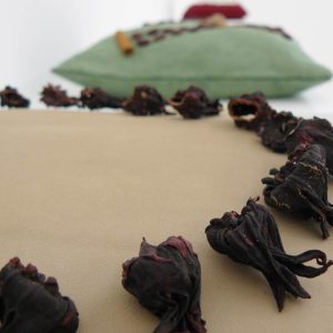 Mutato Corporis Mutato Corporis