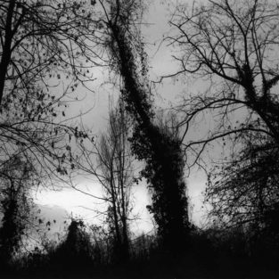 La notte della mente