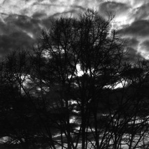 La notte della mente