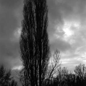 La notte della mente