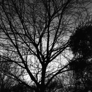 La notte della mente