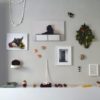 dislocata